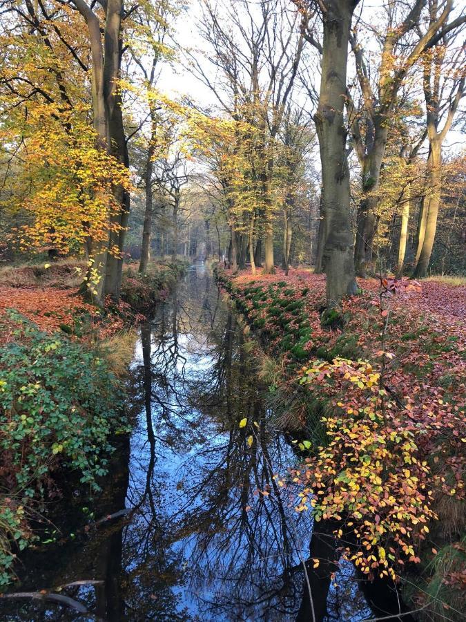 Vakantiehuis Doelestee Balk Esterno foto